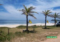 /album/fotos-loteamento-jardim-jacone/coqueiros-em-frente-ao-loteamento-jpg/